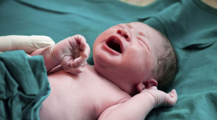 इराक के इतिहास में पहली बार 25 साल की महिला के हुए एक साथ 7 बच्चे…