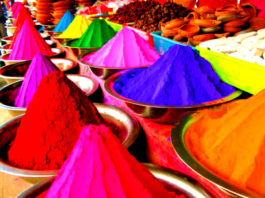 Holi
