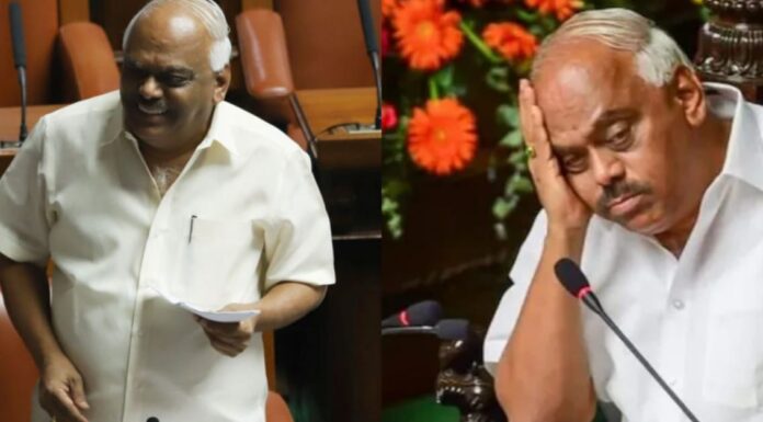 MLA